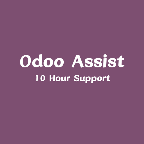 Odoo Assist: 10 Hour Support